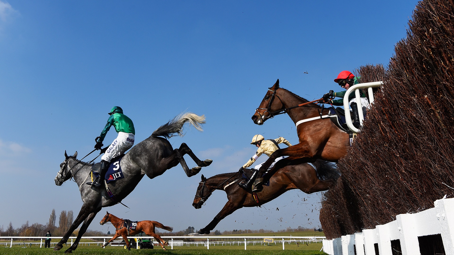 Leaps and Bounds The Domination of Irish Jumps Racing Populous